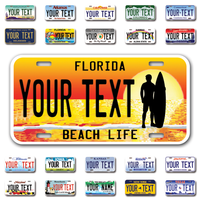 Personalize Car License Plates From All 50 USA States - 12"x6" - Ideal for Cars, Trucks and more