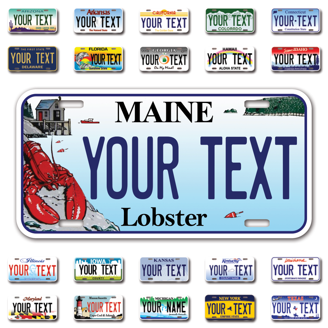 Personalize Car License Plates From All 50 USA States - 12"x6" - Ideal for Cars, Trucks and more
