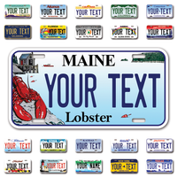 Personalize Car License Plates From All 50 USA States - 12"x6" - Ideal for Cars, Trucks and more