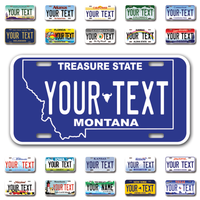 Personalize Car License Plates From All 50 USA States - 12"x6" - Ideal for Cars, Trucks and more