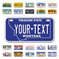 Personalize Bicycle License Plates from All 50 USA States - 6"x3" - Ideal for Bicycles, Tricycles, Wheelchairs, Toy Cars, Kids Cars and more