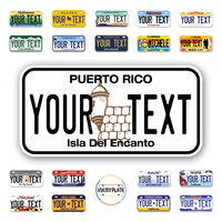 Personalize License Plates Vinyl Stickers From All 50 USA States - 6"x3" - Ideal for Toy Cars - Electric Kids Cars and more