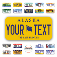 Personalize License Plates Vinyl Stickers From All 50 USA States - 6"x3" - Ideal for Toy Cars - Electric Kids Cars and more