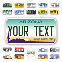 Personalize License Plates Vinyl Stickers From All 50 USA States - 6"x3" - Ideal for Toy Cars - Electric Kids Cars and more