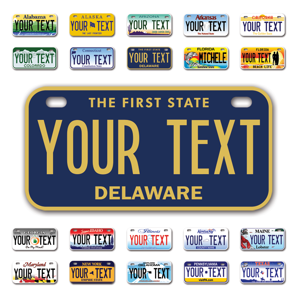 Personalize Bicycle License Plates from All 50 USA States - 6x3 - Id –  InkMyPlate