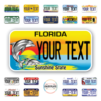 Personalize License Plates Vinyl Stickers From All 50 USA States - 6"x3" - Ideal for Toy Cars - Electric Kids Cars and more