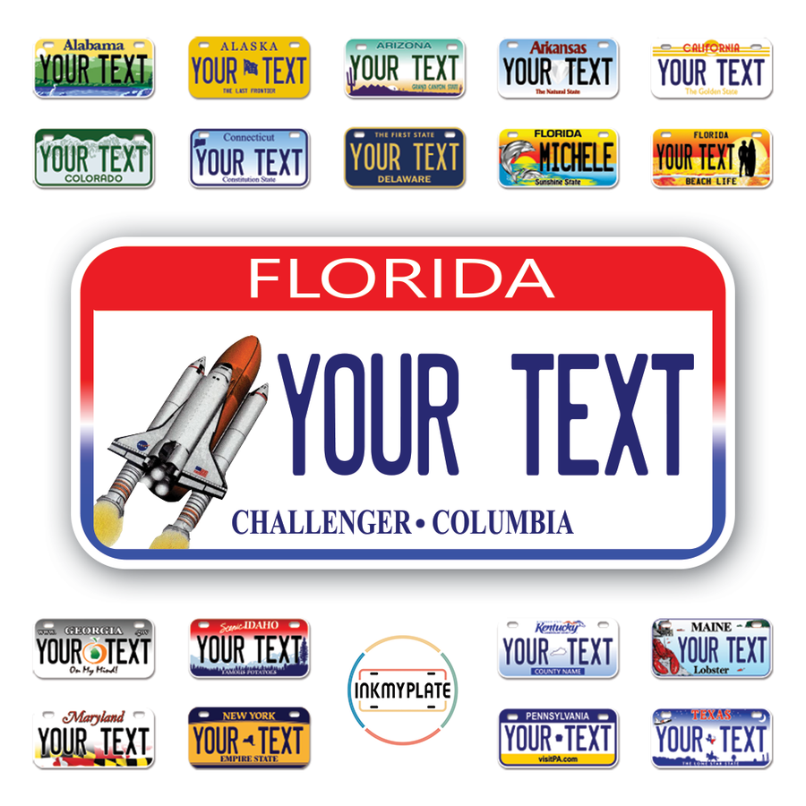 Personalize License Plates Vinyl Stickers From All 50 USA States - 6"x3" - Ideal for Toy Cars - Electric Kids Cars and more