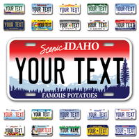 Personalize Car License Plates From All 50 USA States - 12"x6" - Ideal for Cars, Trucks and more