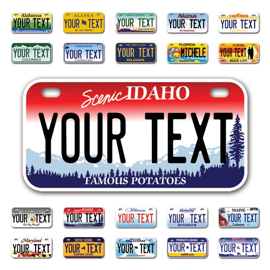 Personalize Bicycle License Plates from All 50 USA States - 6"x3" - Ideal for Bicycles, Tricycles, Wheelchairs, Toy Cars, Kids Cars and more