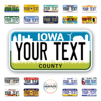 Personalize License Plates Vinyl Stickers From All 50 USA States - 6"x3" - Ideal for Toy Cars - Electric Kids Cars and more