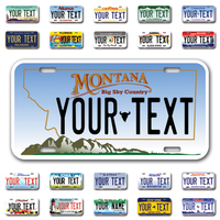 Personalize Car License Plates From All 50 USA States - 12"x6" - Ideal for Cars, Trucks and more