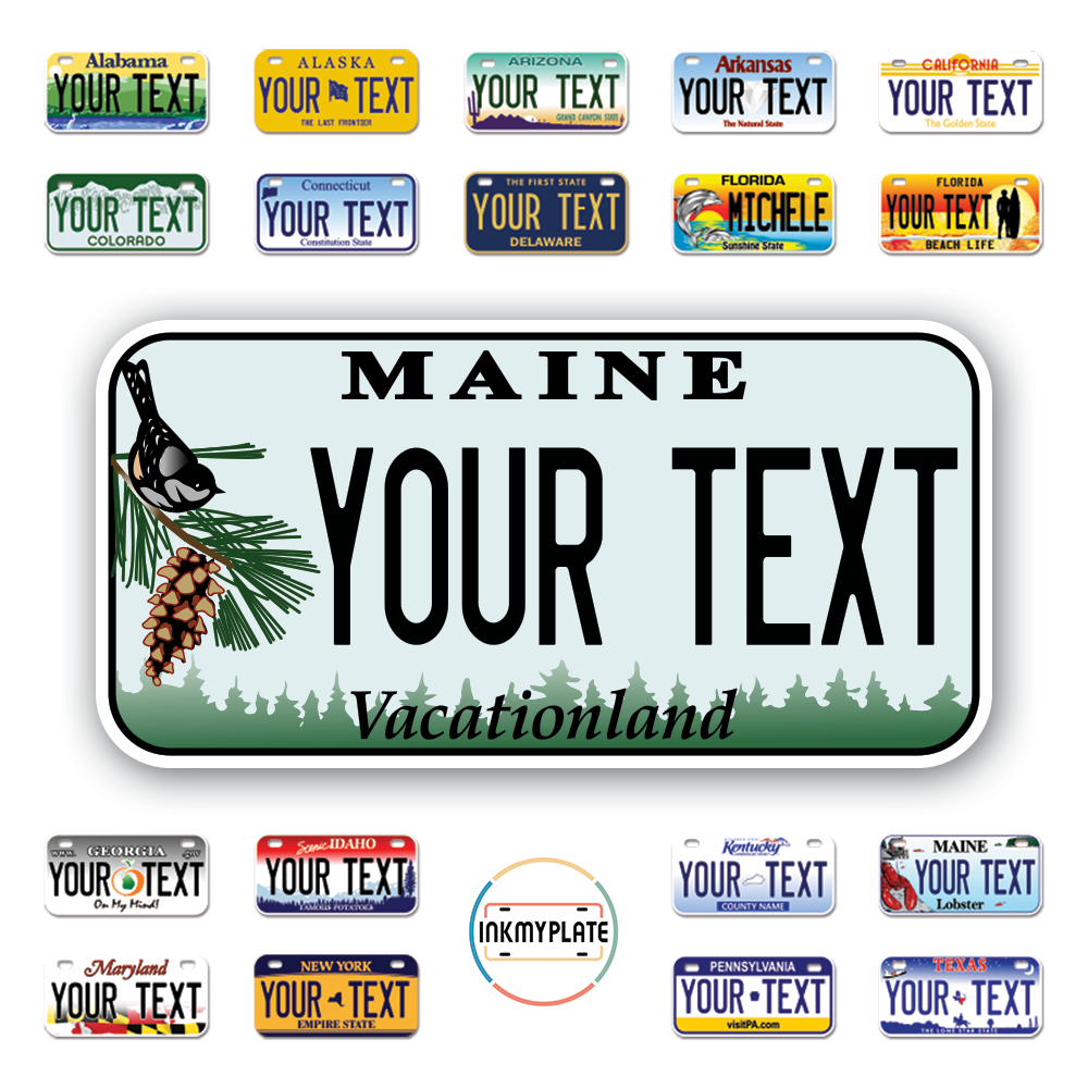 Personalize License Plates Vinyl Stickers From All 50 USA States - 6"x3" - Ideal for Toy Cars - Electric Kids Cars and more