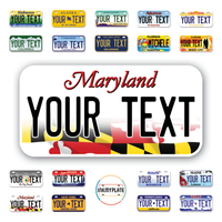 Personalize License Plates Vinyl Stickers From All 50 USA States - 6"x3" - Ideal for Toy Cars - Electric Kids Cars and more