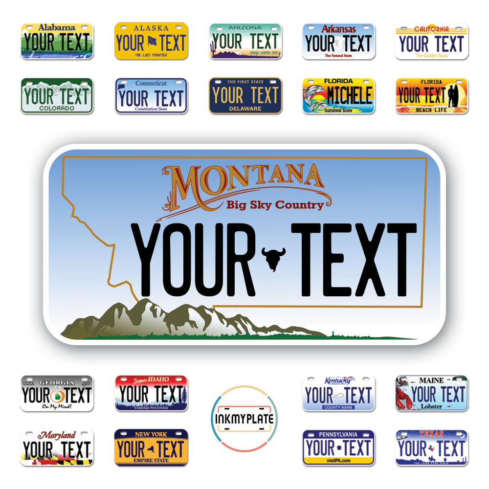 Personalize License Plates Vinyl Stickers From All 50 USA States - 6"x3" - Ideal for Toy Cars - Electric Kids Cars and more