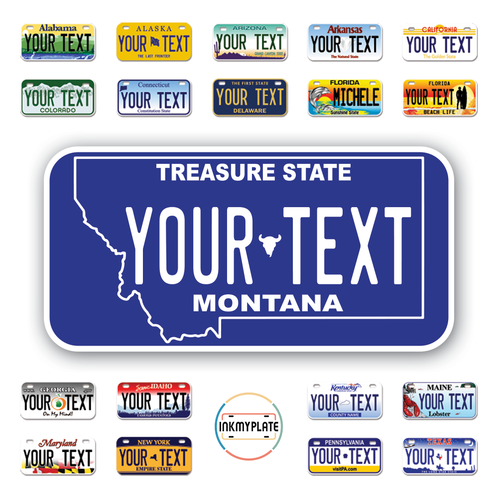 Personalize License Plates Vinyl Stickers From All 50 USA States - 6"x3" - Ideal for Toy Cars - Electric Kids Cars and more