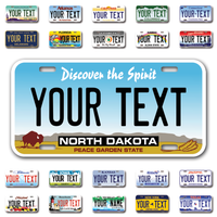 Personalize Car License Plates From All 50 USA States - 12"x6" - Ideal for Cars, Trucks and more