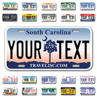 Personalize Car License Plates From All 50 USA States - 12"x6" - Ideal for Cars, Trucks and more