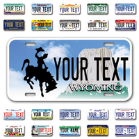 Personalize Car License Plates From All 50 USA States - 12"x6" - Ideal for Cars, Trucks and more